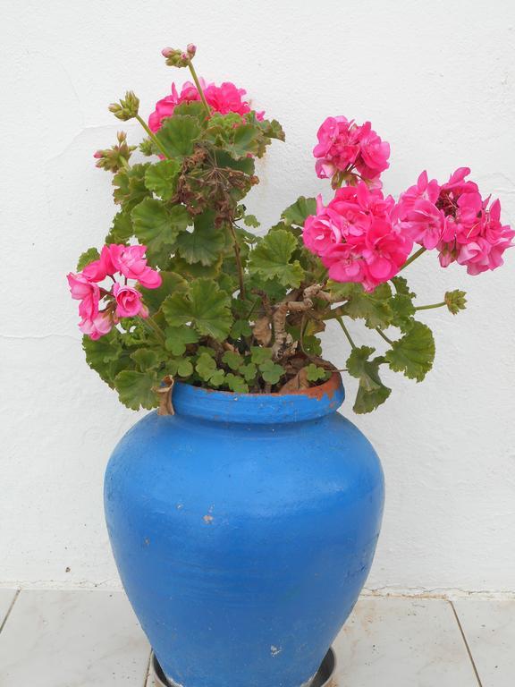 Casas Tipicas Algarvias Villa Arroteia de Baixo Buitenkant foto